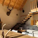 Ca De Palomera Vall D'aran Holiday home *